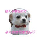 プリン君のしあわせスタンプ②（個別スタンプ：22）