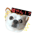 プリン君のしあわせスタンプ②（個別スタンプ：26）