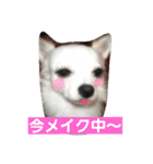 プリン君のしあわせスタンプ②（個別スタンプ：27）