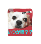 プリン君のしあわせスタンプ②（個別スタンプ：30）