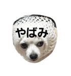 プリン君のしあわせスタンプ②（個別スタンプ：31）