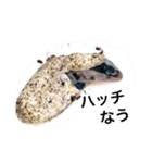 モドキなスタンプ（個別スタンプ：2）