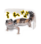 モドキなスタンプ（個別スタンプ：4）