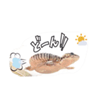 モドキなスタンプ（個別スタンプ：20）