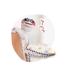 モドキなスタンプ（個別スタンプ：24）