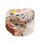 モドキなスタンプ（個別スタンプ：28）