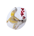 モドキなスタンプ（個別スタンプ：31）