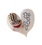 モドキなスタンプ（個別スタンプ：40）