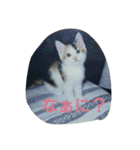 nyaのstamp2（個別スタンプ：10）