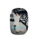 nyaのstamp2（個別スタンプ：14）