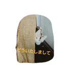nyaのstamp2（個別スタンプ：16）