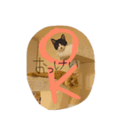 のびーむ（個別スタンプ：1）