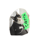 のびーむ（個別スタンプ：2）