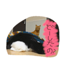 のびーむ（個別スタンプ：3）