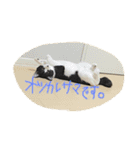 のびーむ（個別スタンプ：4）