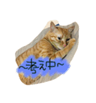 のびーむ（個別スタンプ：8）