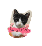 のびーむ（個別スタンプ：9）