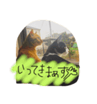 のびーむ（個別スタンプ：10）