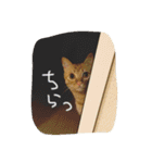 のびーむ（個別スタンプ：12）