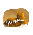 のびーむ（個別スタンプ：14）