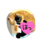 のびーむ（個別スタンプ：20）