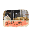のびーむ（個別スタンプ：21）