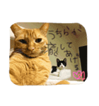 のびーむ（個別スタンプ：23）