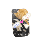 のびーむ（個別スタンプ：24）