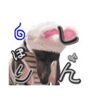 イタグレ ロア（個別スタンプ：6）