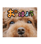 まさおじさん！（個別スタンプ：1）