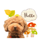 まさおじさん！（個別スタンプ：2）