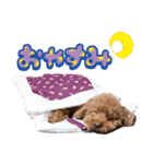まさおじさん！（個別スタンプ：4）