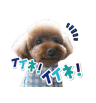 まさおじさん！（個別スタンプ：7）
