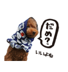 まさおじさん！（個別スタンプ：16）