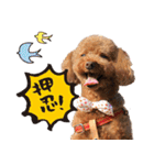 まさおじさん！（個別スタンプ：22）