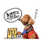 まさおじさん！（個別スタンプ：29）