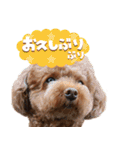 まさおじさん！（個別スタンプ：37）