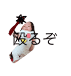 baby girl otoha chan（個別スタンプ：11）