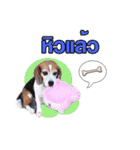 gangster doggy（個別スタンプ：1）