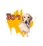 gangster doggy（個別スタンプ：2）
