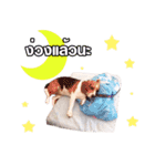 gangster doggy（個別スタンプ：3）