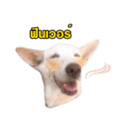 gangster doggy（個別スタンプ：5）