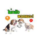 gangster doggy（個別スタンプ：6）