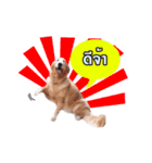 gangster doggy（個別スタンプ：9）