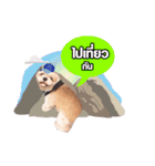 gangster doggy（個別スタンプ：10）