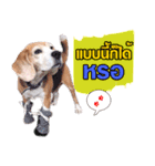 gangster doggy（個別スタンプ：12）