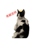 oh hi yo Maru（個別スタンプ：1）