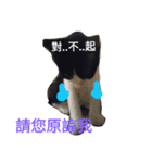 oh hi yo Maru（個別スタンプ：6）