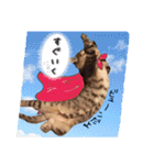 ハチワレきじとら※ルイとるるの日常（個別スタンプ：26）