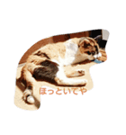 realer（個別スタンプ：5）